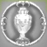Regionalchampion
