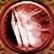 Arena-Champion