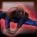 Ultimativer Spider-Man
