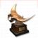 (Geheime Troph�e) Completed Royal angelfish (singer)
