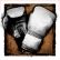 (Geheime Troph�e) Shown the ropes