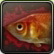 Des Anglers Feind