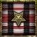 Level 25