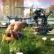 Umg�nglicher Typ