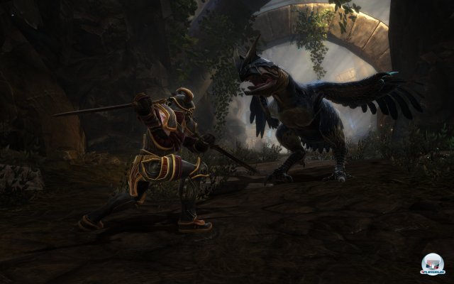 Bild