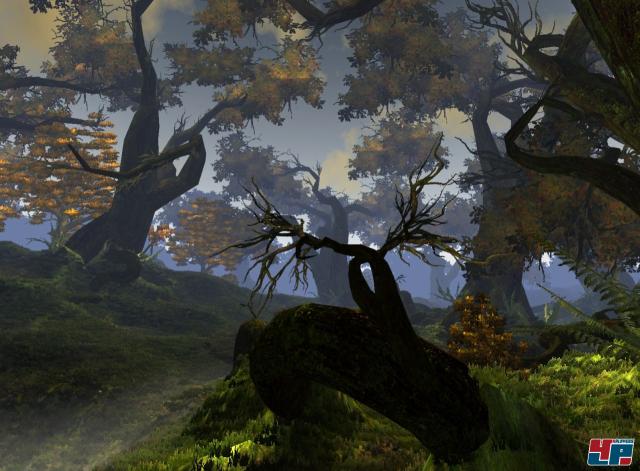 Bild