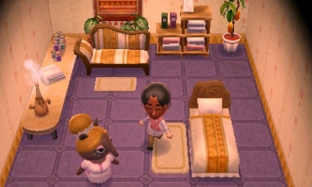 Screenshot - Animal Crossing: New Leaf (3DS)