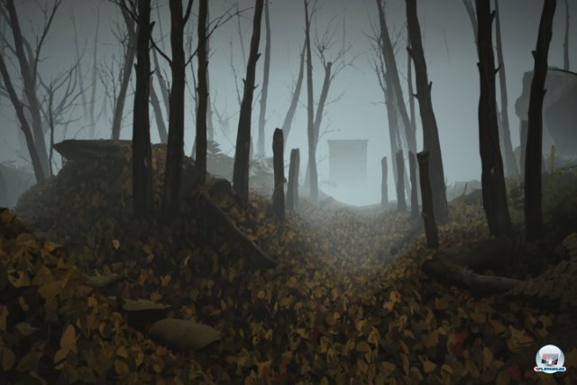 Auch wenn der nebelverhangene Wald endlos erscheint, gibt es nur wenig zu entdecken. Auch wenn der nebelverhangene Wald endlos erscheint, gibt es nur wenig zu entdecken.