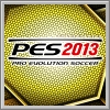 Erfolge zu Pro Evolution Soccer 2013