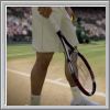 Erfolge zu Grand Slam Tennis 2