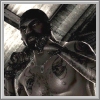 Erfolge zu The Fight