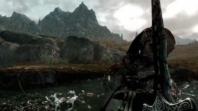 The Animation of Skyrim