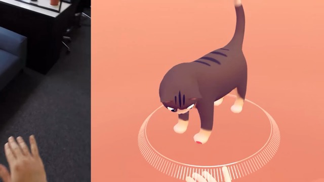 Cat Explorer
