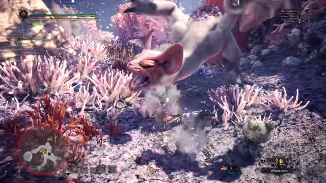 Coral Highlands