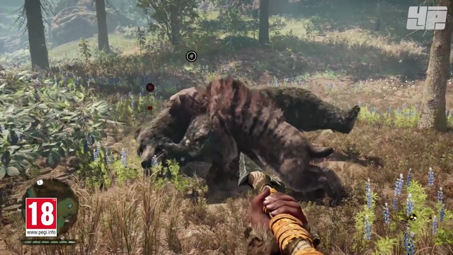 Survival Tips